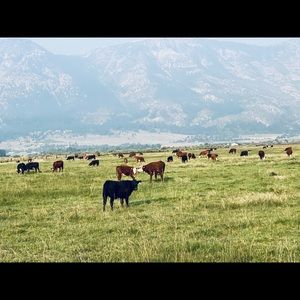 Big sale blowout everything must go make a deal